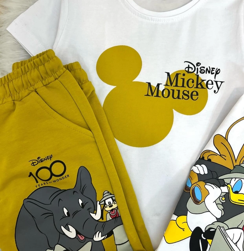 Conjunto 100 anos Disney  - 4