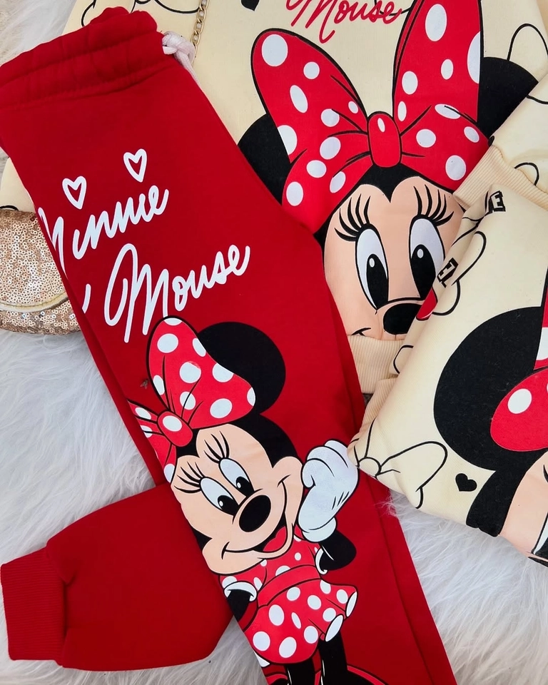 Conjunto Moletom Minnie  - 2