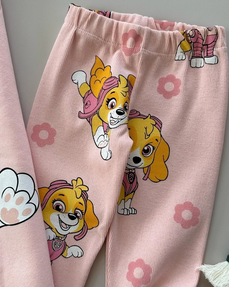 Conjunto Patrulha Canina Skye - 3