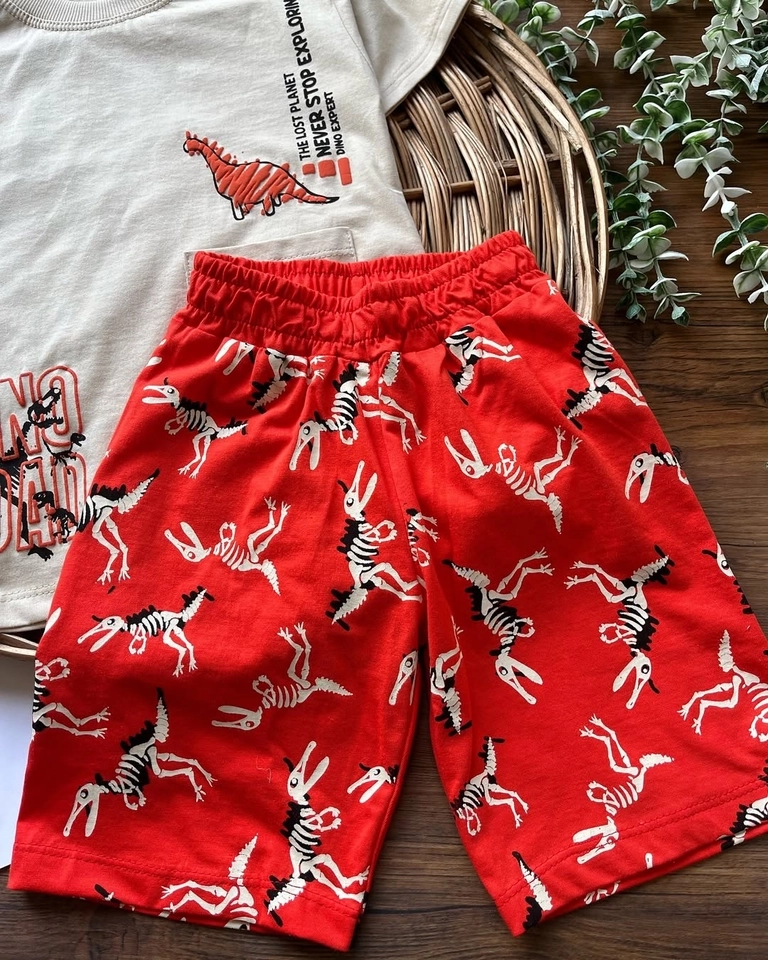 Conjunto Verão Dino  - 6