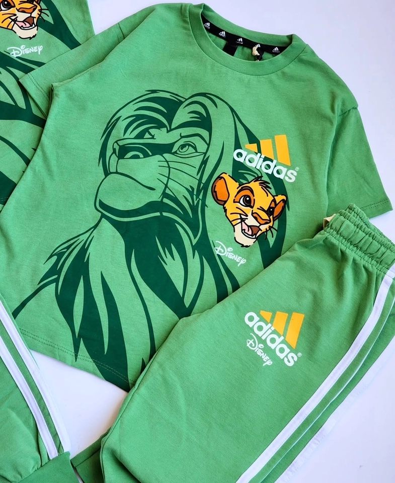 Conjunto Rei Leão  - 2
