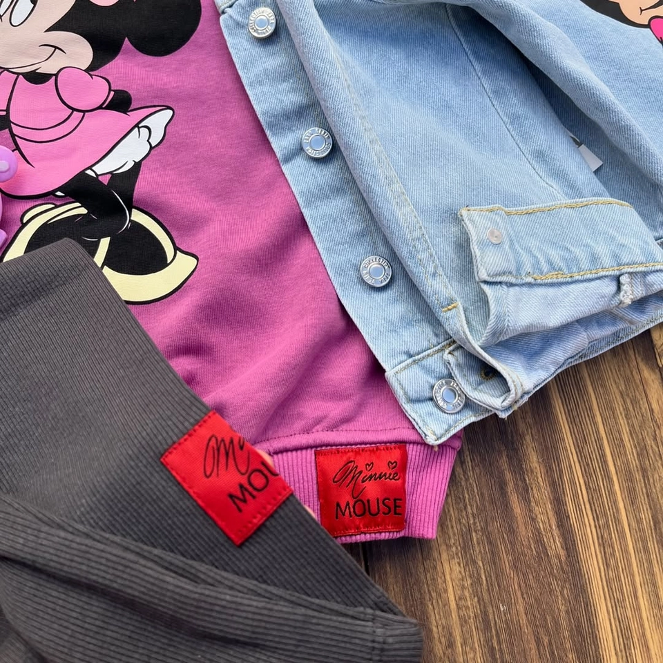 Conjunto moletom Minnie  - 2