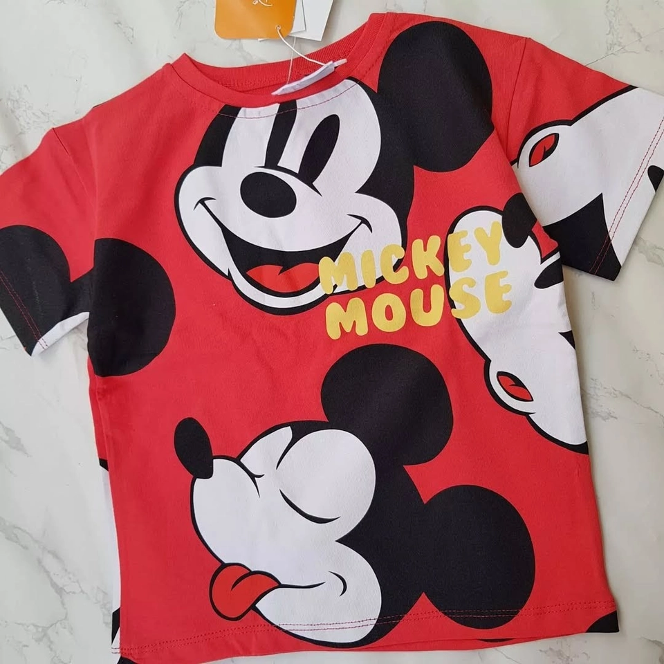 Conjunto verão Mickey  - 4