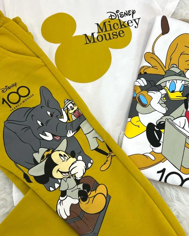 Conjunto 100 anos Disney  - 2