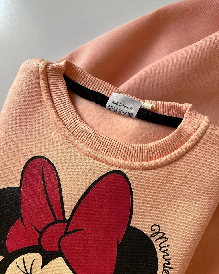 Conjunto moletom Minnie  - 2