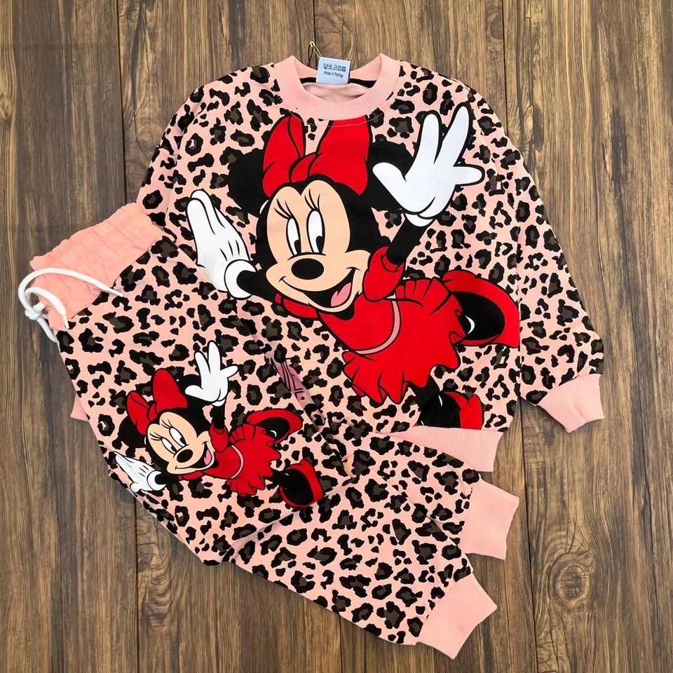 Conjunto Moletom Minnie Oncinha - 1