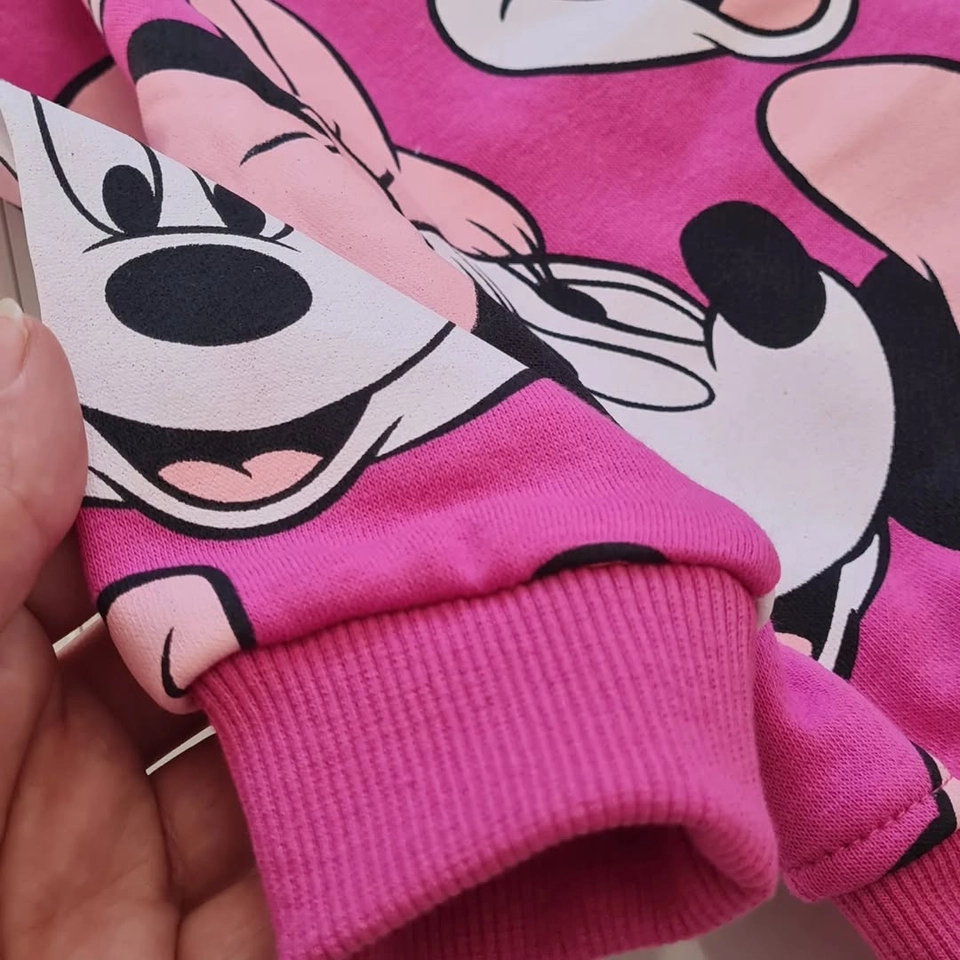 Conjunto moletom Minnie  - 2