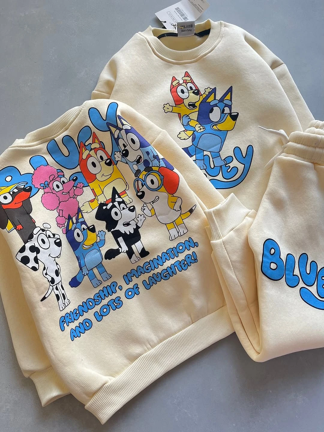 Conjunto moletom Bluey  - 1