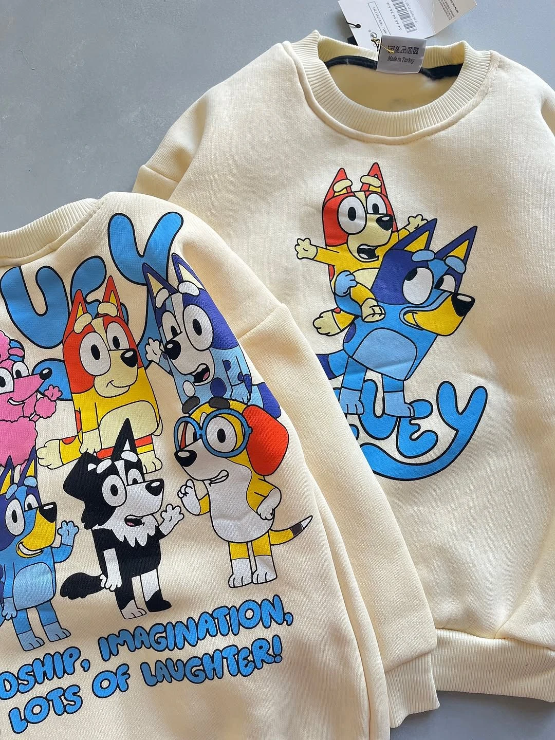 Conjunto moletom Bluey  - 2