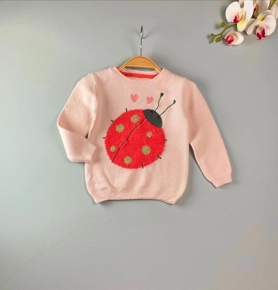 Blusa tricô Joaninha  - 1
