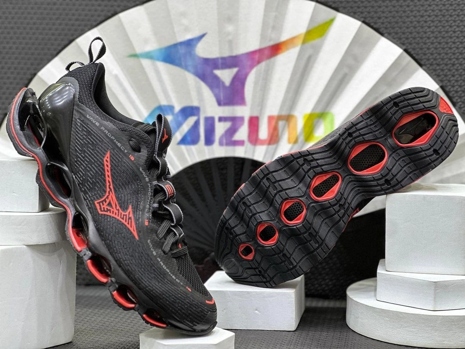 Mizuno prophecy 13  - 4