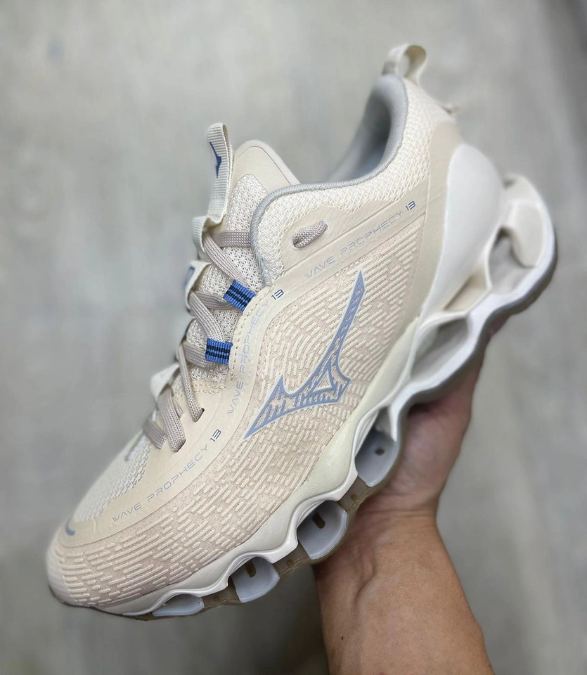Mizuno prophecy 13  - 2