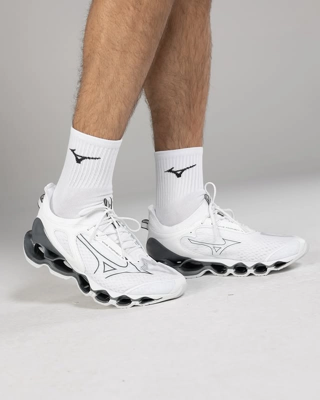 Mizuno prophecy 14