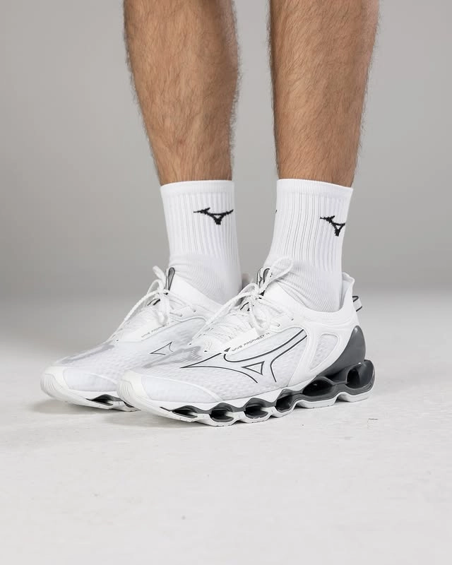 Mizuno prophecy 14 - 7
