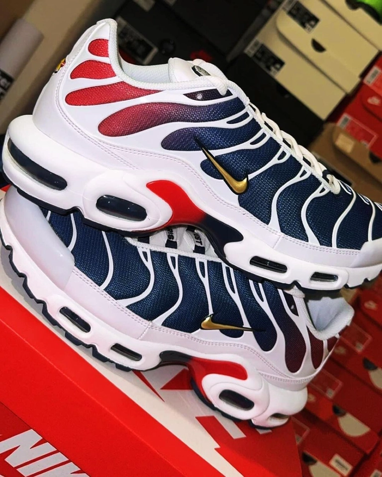Nike TN PSG