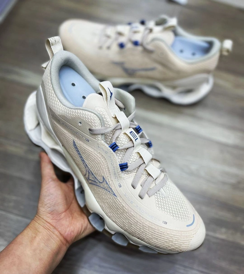 Mizuno prophecy 13  - 3