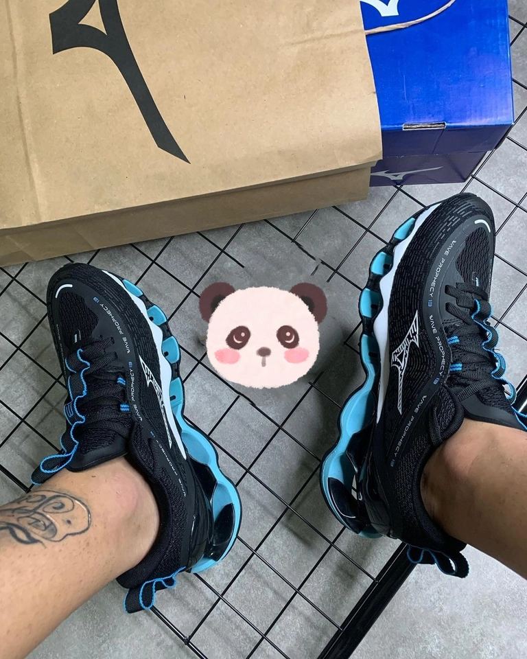 Mizuno prophecy 13  - 2