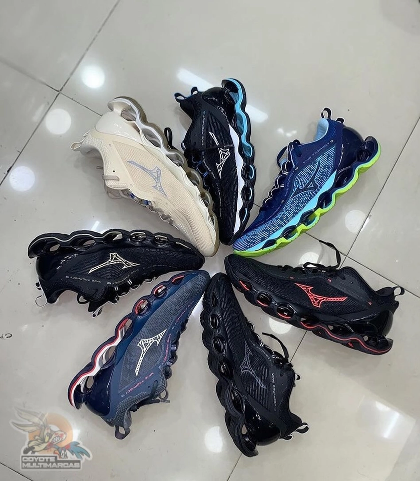 Mizuno prophecy 13  - 3