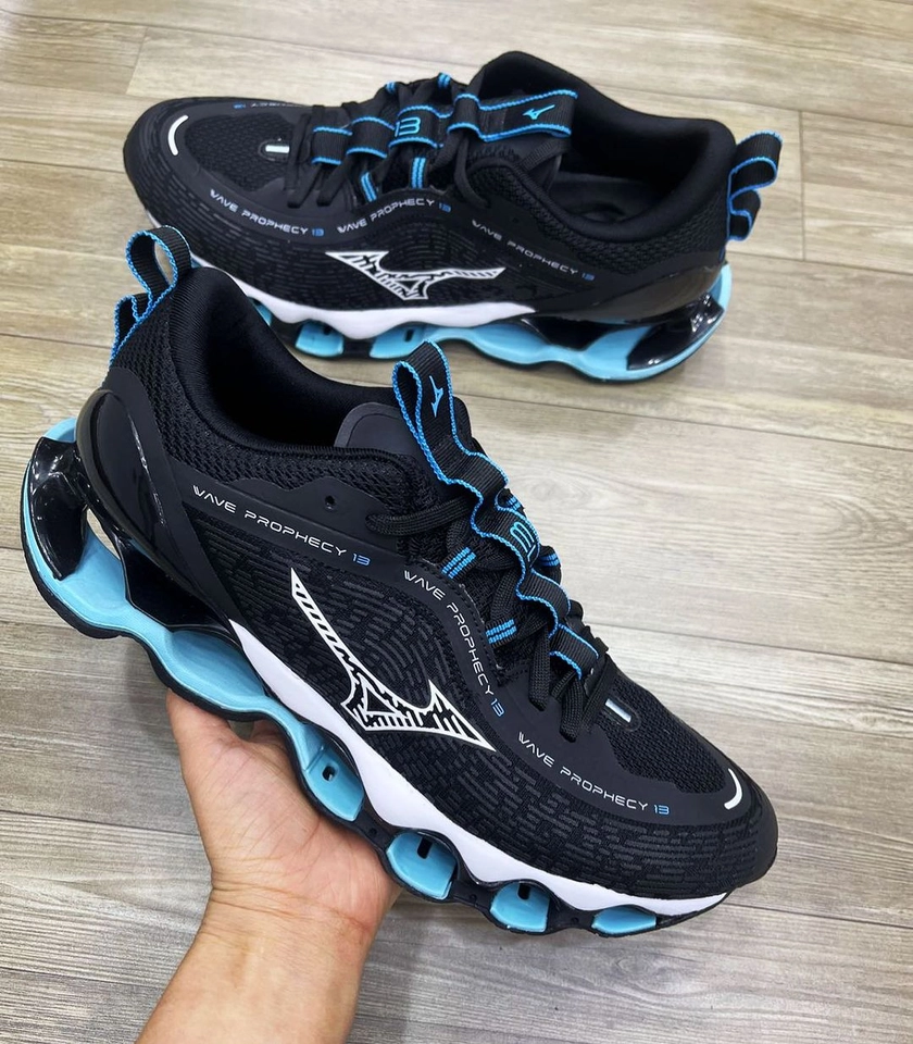 Mizuno prophecy 13 