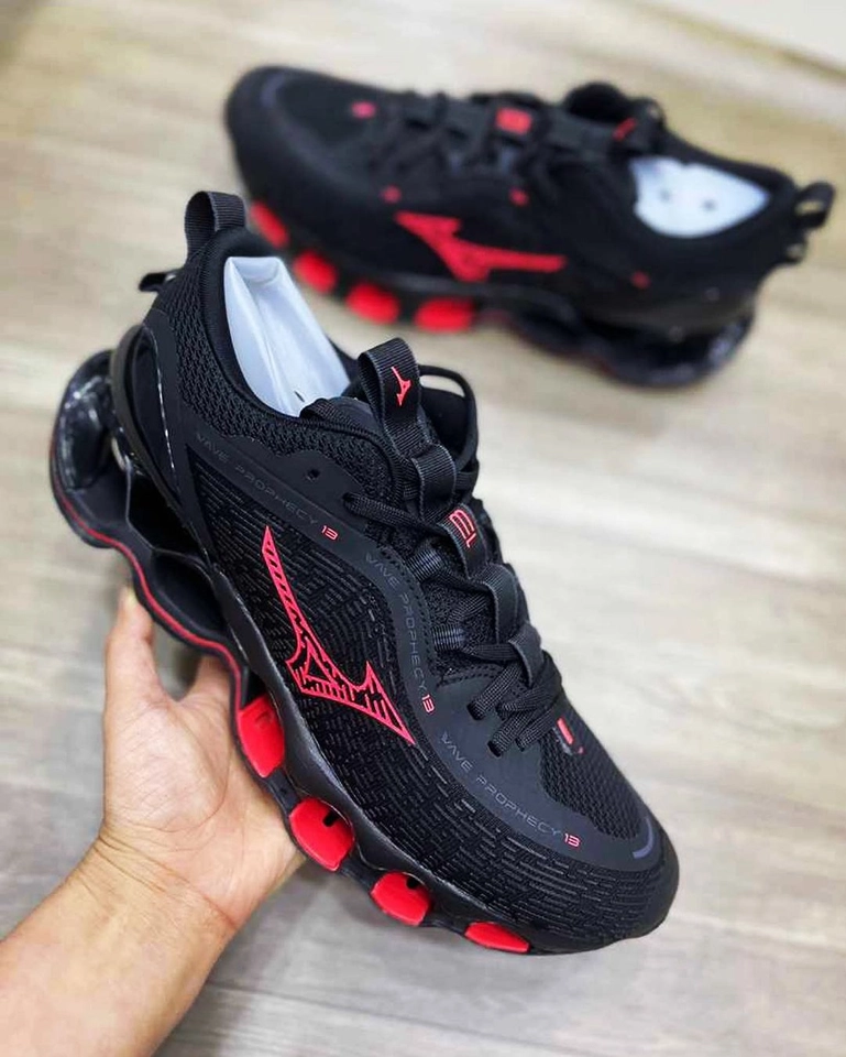 Mizuno prophecy 13 
