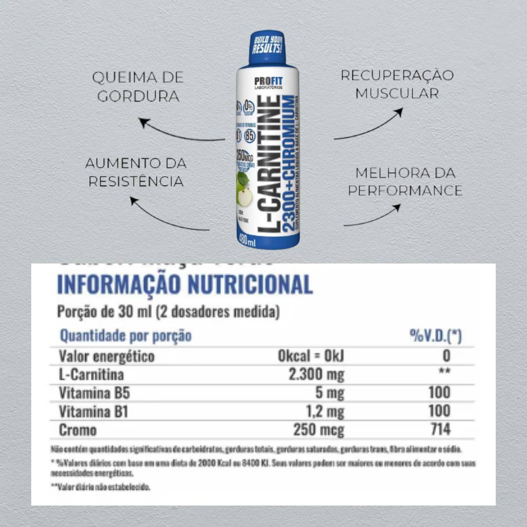 L-Carnitina 480ml Profit Labs - 2