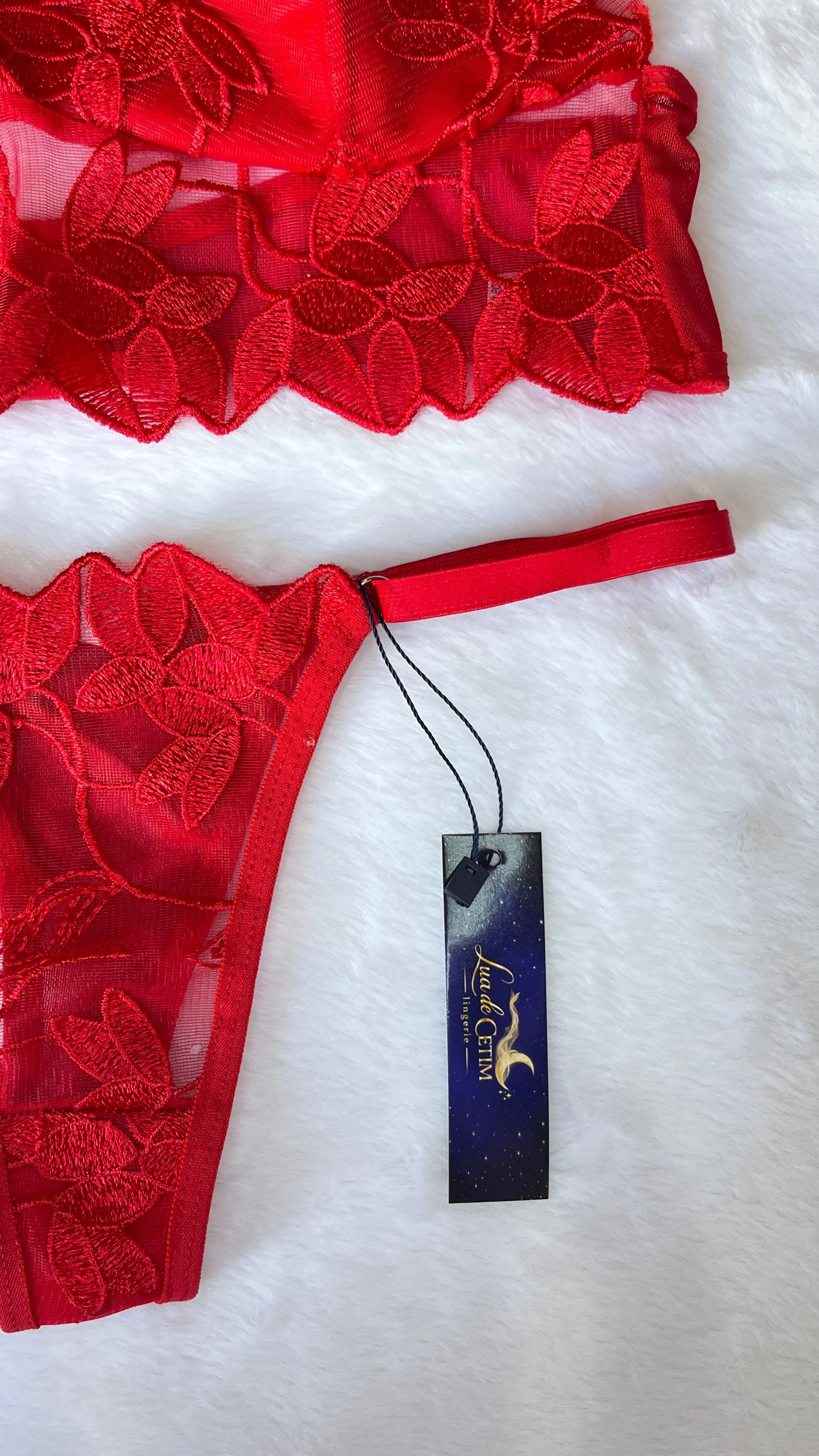 Conjunto Estrela Suprema - 2
