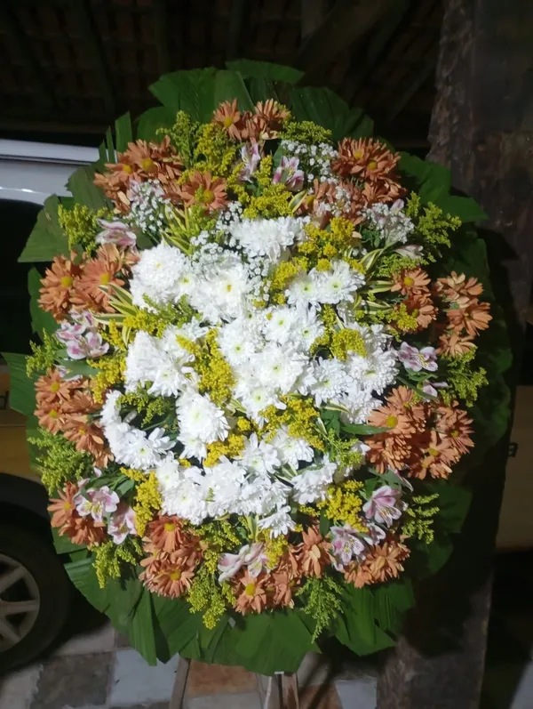 Coroa natural Especial 