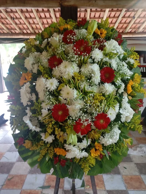 Coroa Natural Exclusiva 