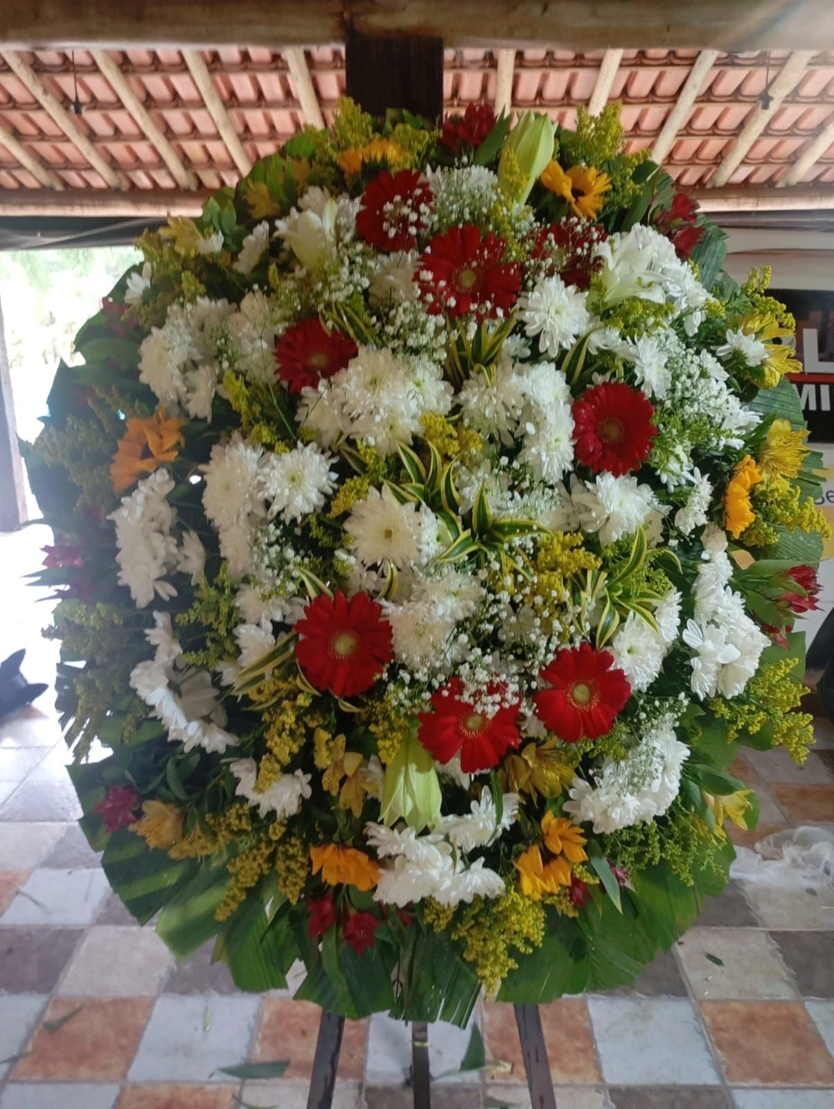 Coroa Natural Exclusiva  - 1