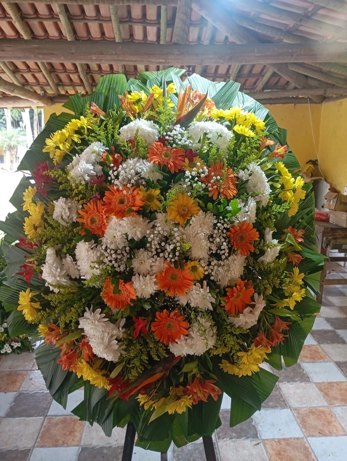 Coroa Natural Exclusiva  - 2