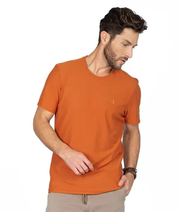Camiseta Masculina Lisa Tam M
