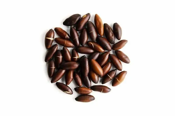 Castanha de Baru 100g