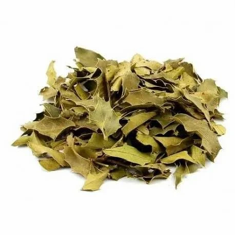 Espinheira Santa-100g - 1