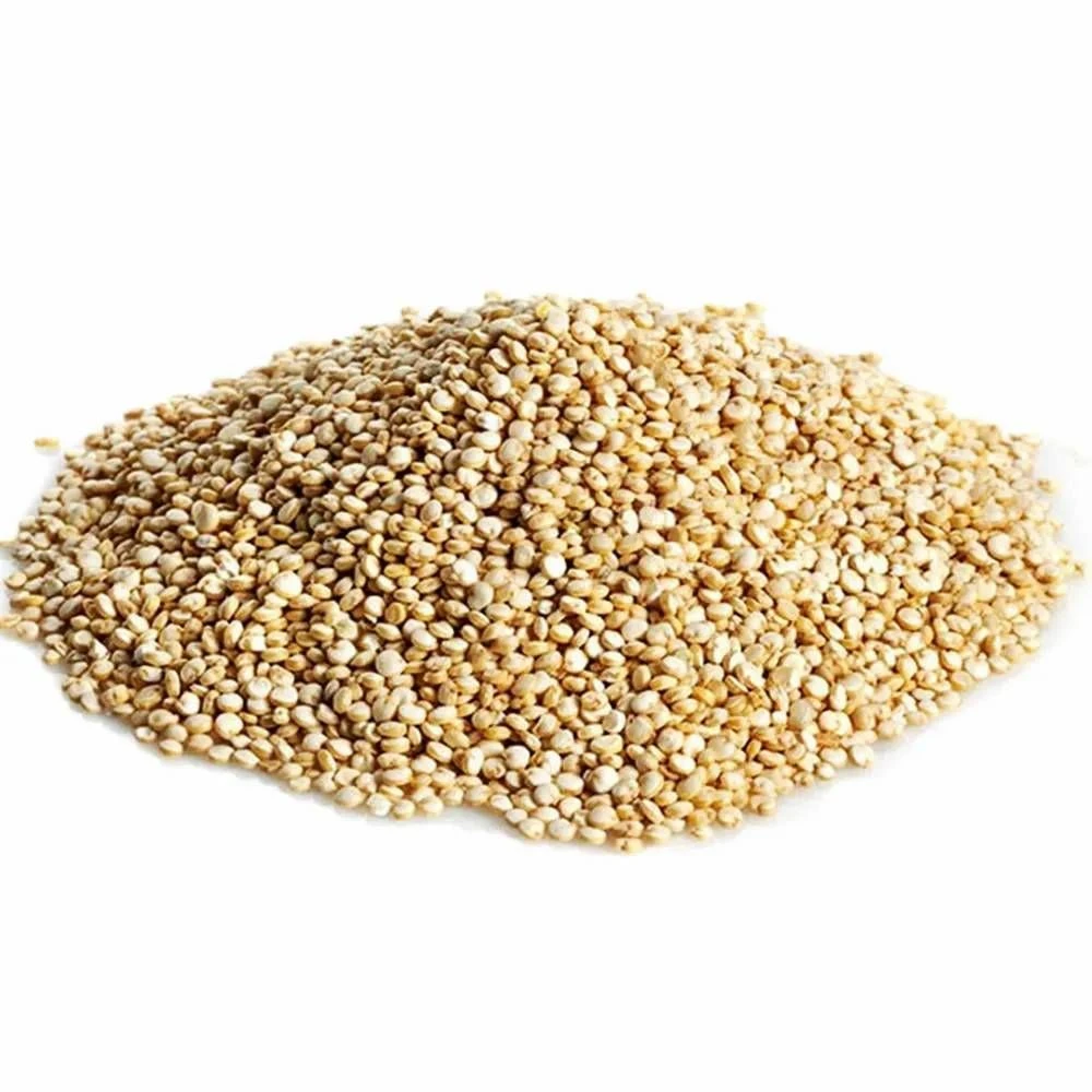 Quinua Grãos-100g - 1