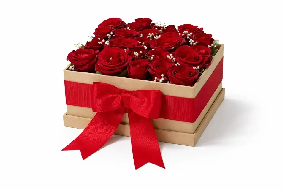 CAIXA BOX RED PREMIUM (REF063) - 1