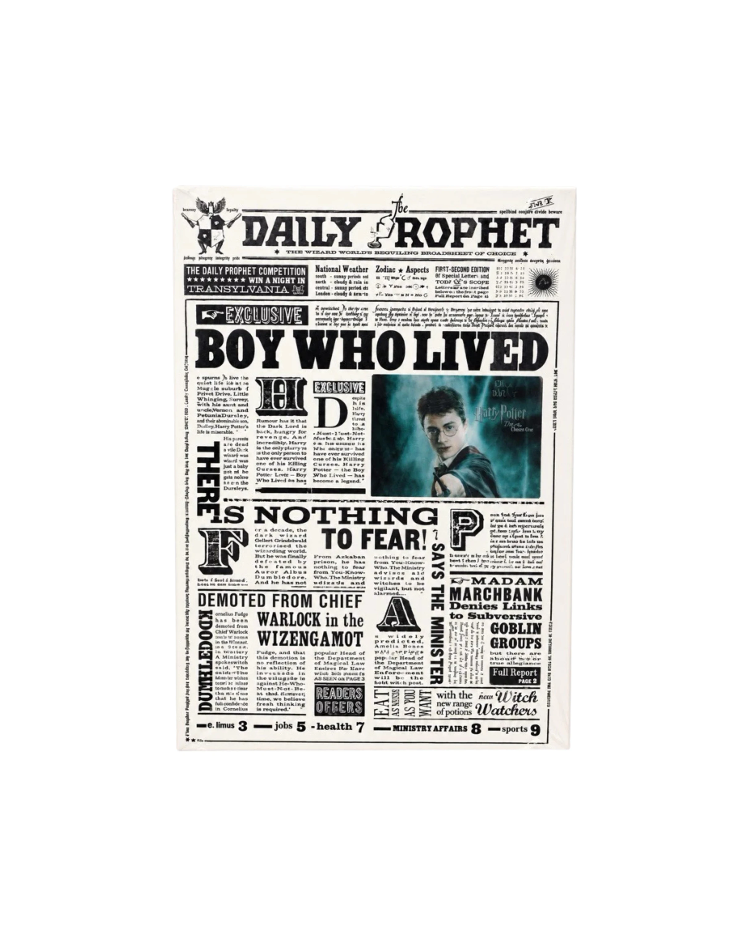 Caderno Harry Potter com Capa Holográfica 3D - 1