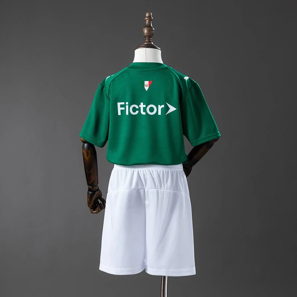 Kit Infantil Palmeiras I 26/27 - Puma - Verde e branco - 2