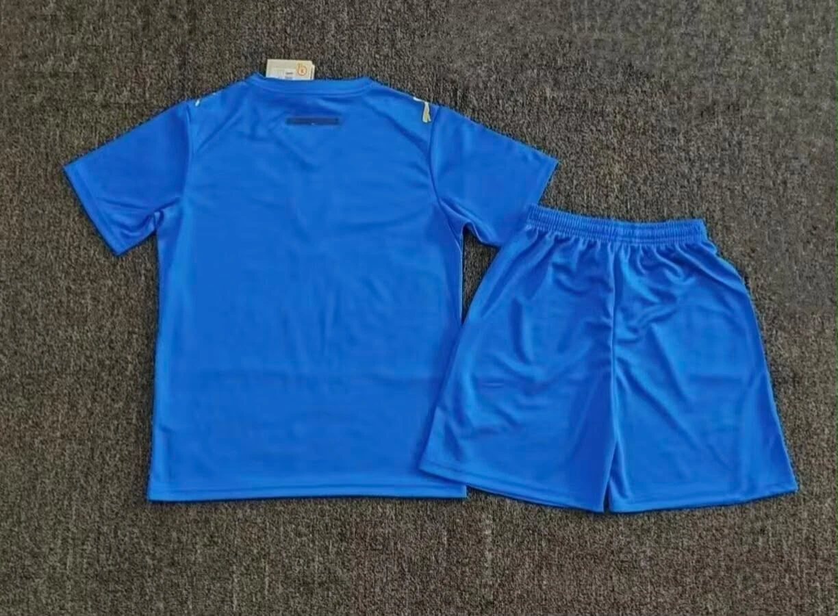 Kit Infantil Palmeiras III 26/27 - Puma - Azul  - 2