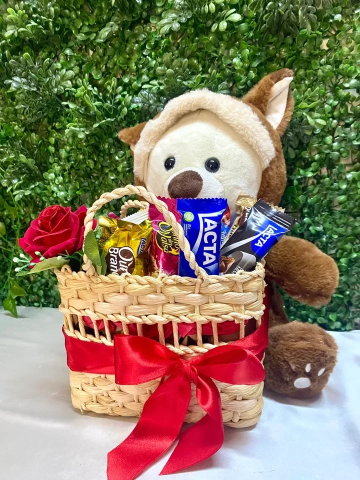 Urso cesteiro  - 4