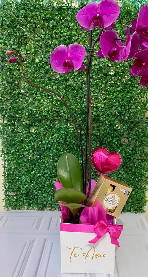 Box orquidea  - 1