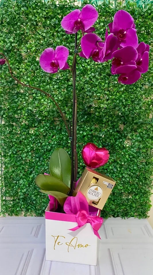 Box orquidea  - 2
