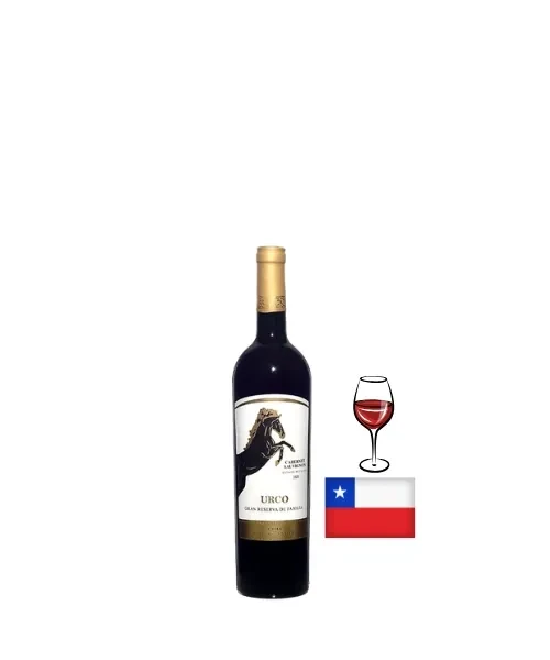 URCO GRAN CAB SAUVIGNON 2020 - 1