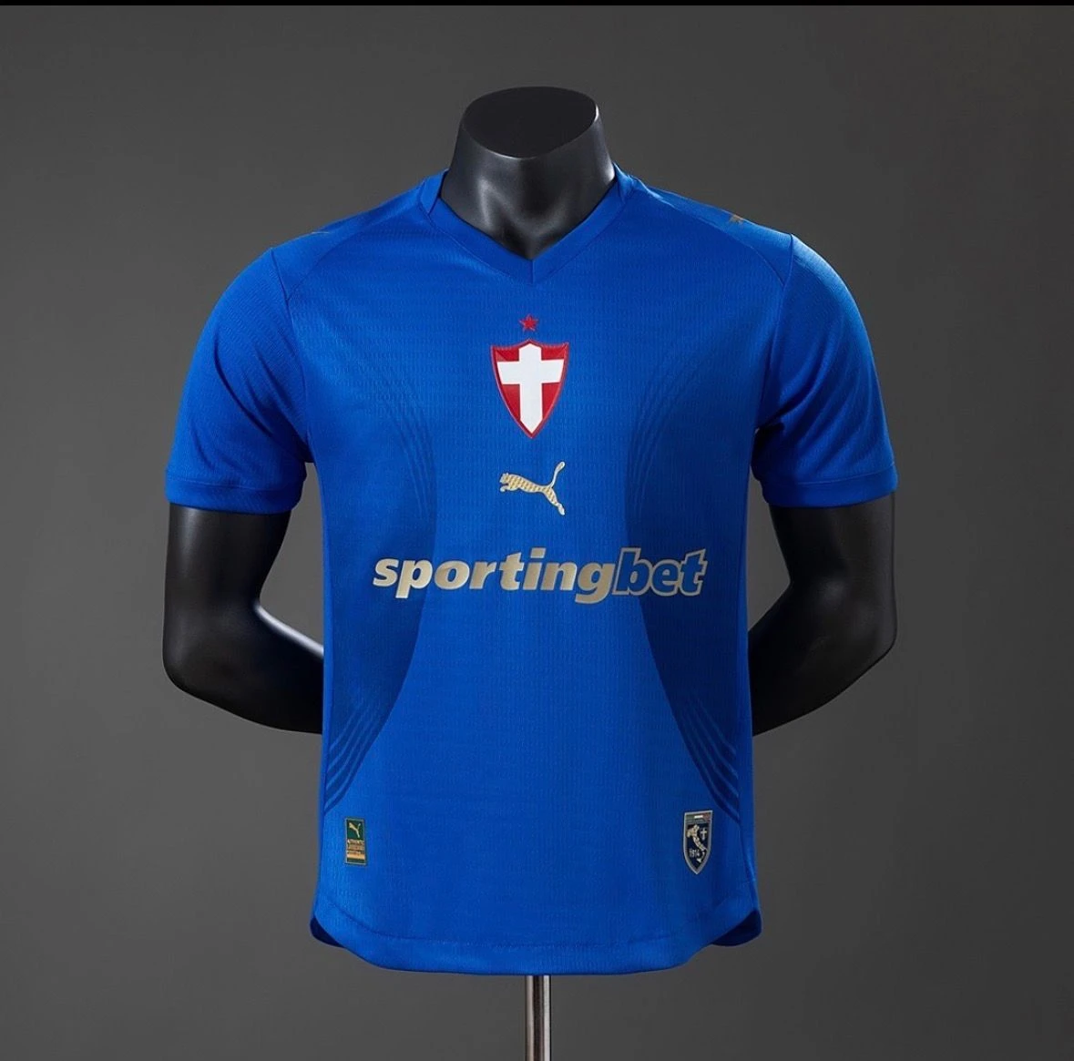 Camisa Palmeiras 26/27 Third - 1