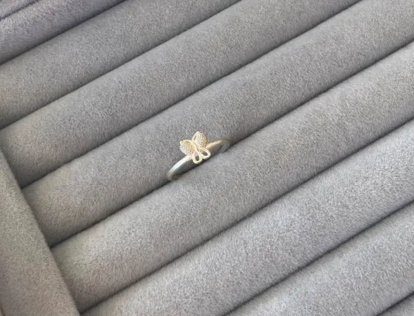 AN borboleta (TAM 13)