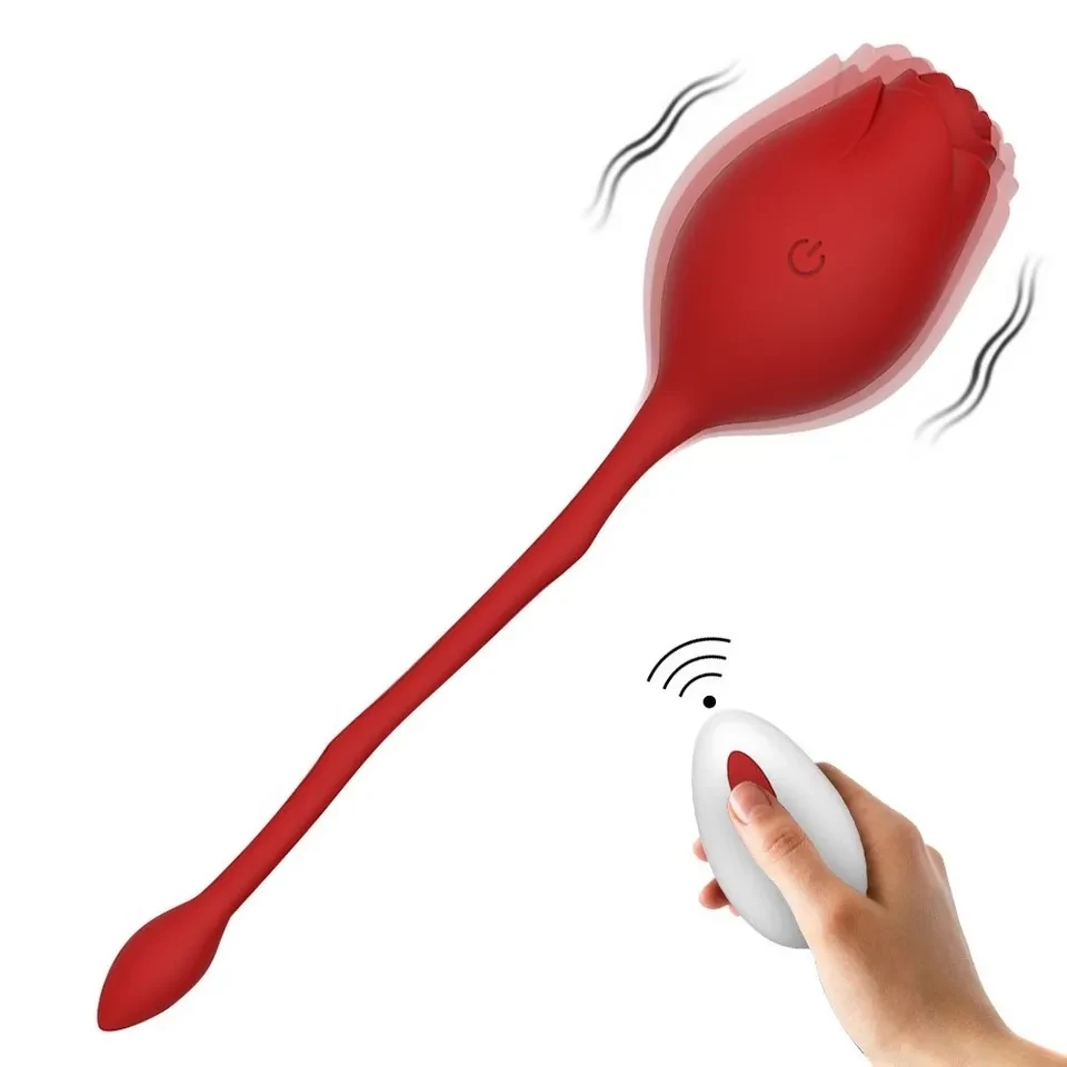 Vibrador Massageador Clitoriano Recarregável com Controle Remoto - 1