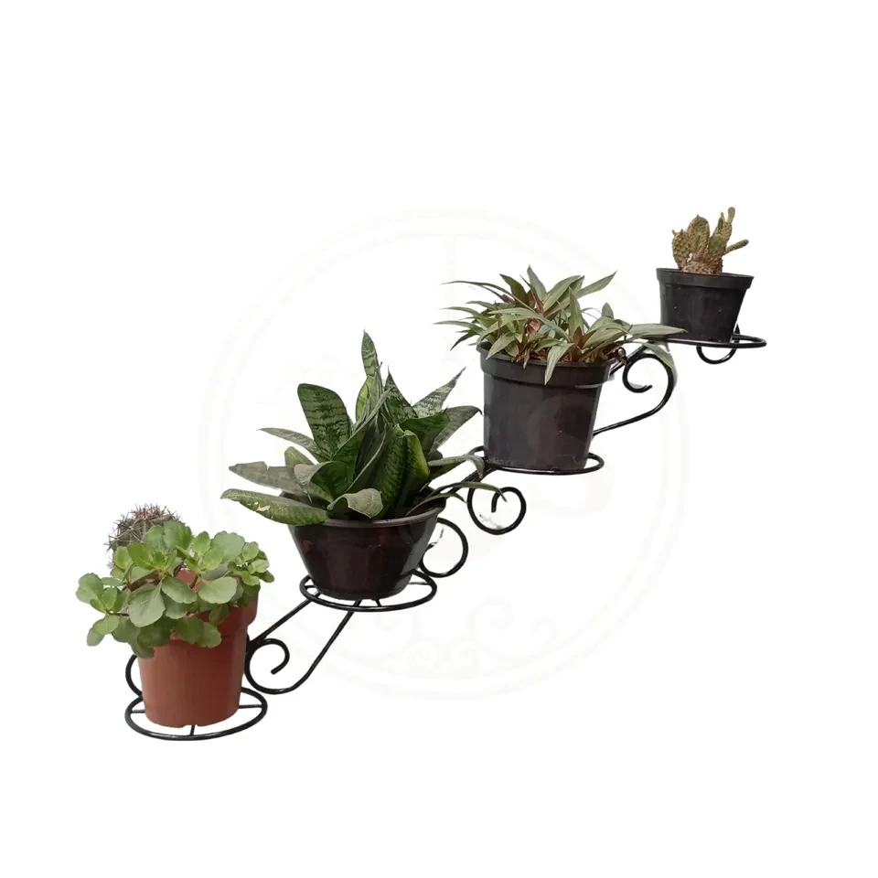 Suporte Escada de Parede para Plantas - 1