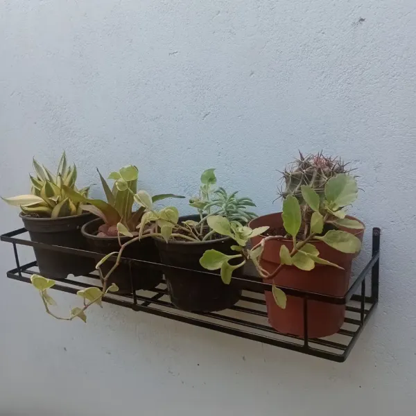 Suporte para plantas estilo modelo