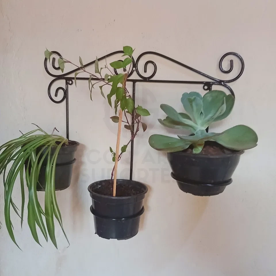 Suporte para planta - 1