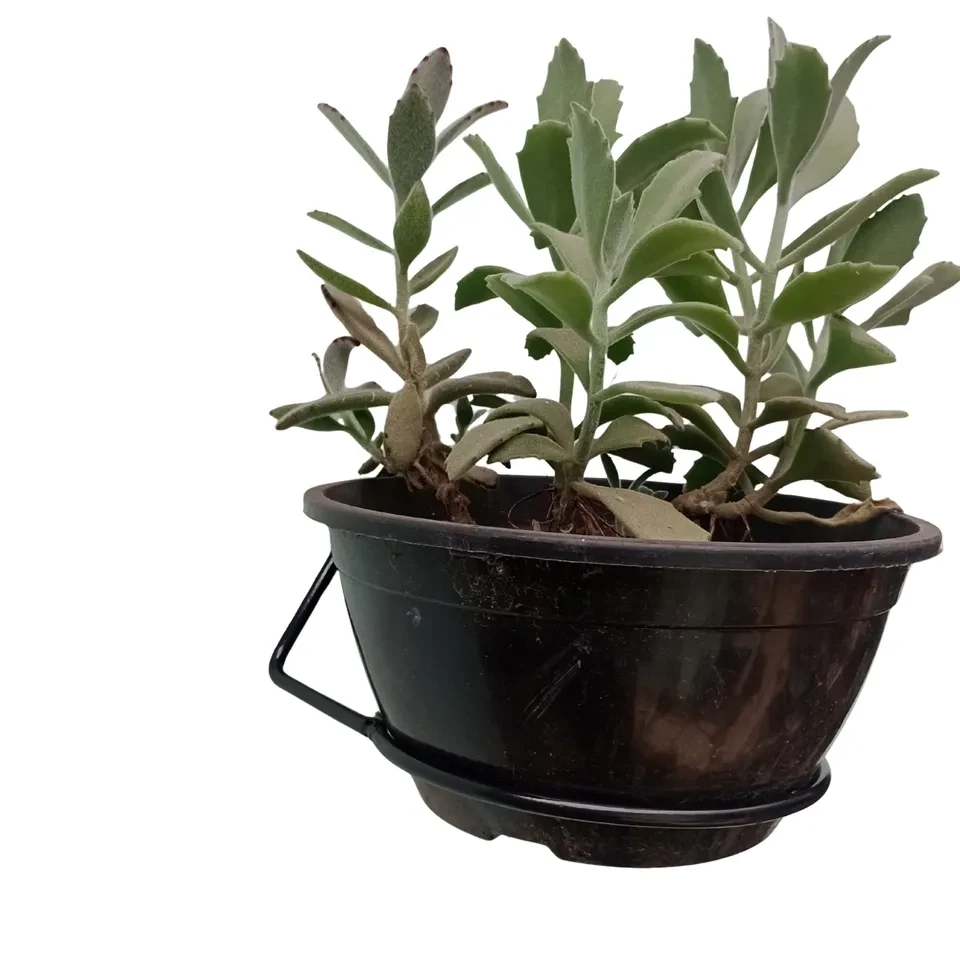 Suporte para planta - 1