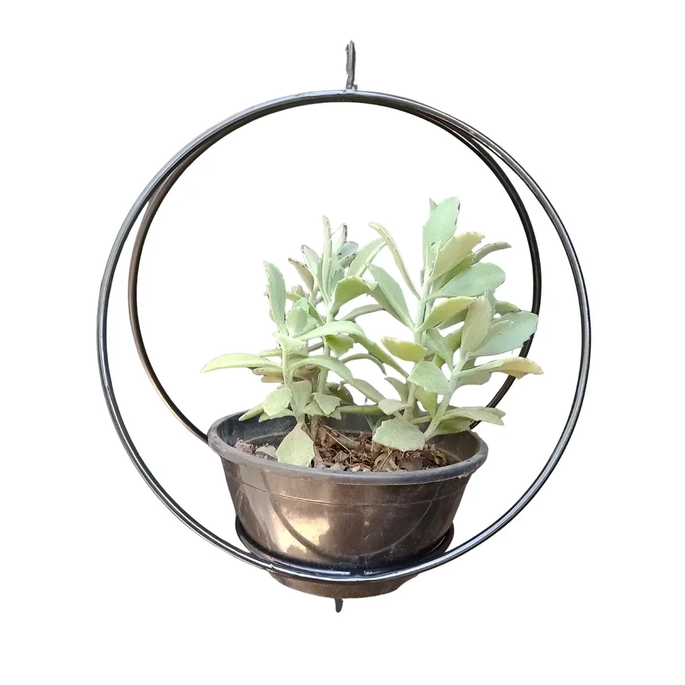 Suporte Suspenso para Vaso de Planta  - 1